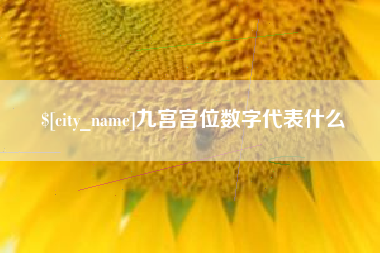 永兴九宫宫位数字代表什么