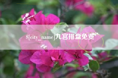 永兴九宫排盘免费