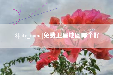 永兴免费卫星地图哪个好