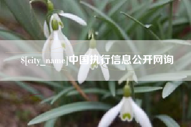 永兴中国执行信息公开网询