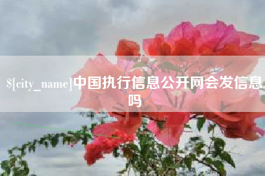 永兴中国执行信息公开网会发信息吗