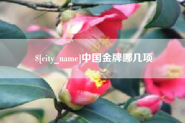 永兴中国金牌哪几项