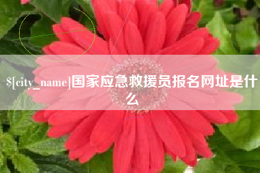永兴国家应急救援员报名网址是什么