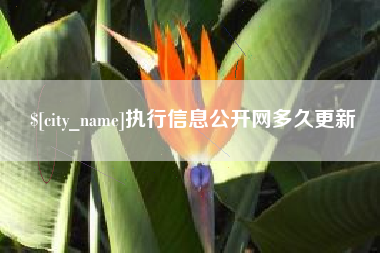 永兴执行信息公开网多久更新