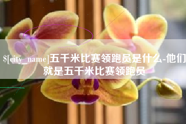永兴五千米比赛领跑员是什么-他们就是五千米比赛领跑员