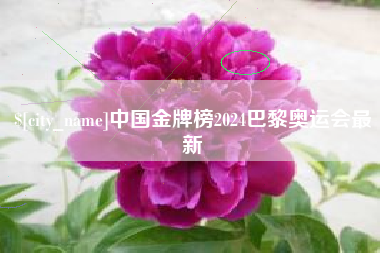 永兴中国金牌榜2024巴黎奥运会最新