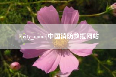 永兴中国消防救援网站