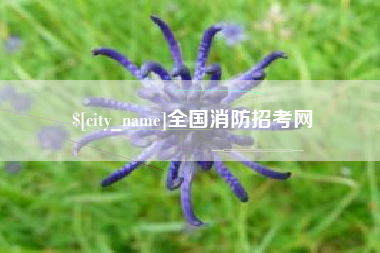 永兴全国消防招考网