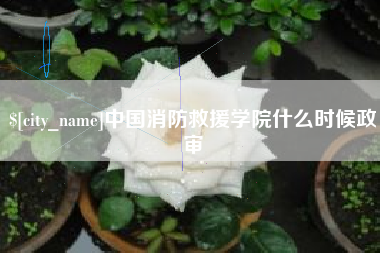 永兴中国消防救援学院什么时候政审