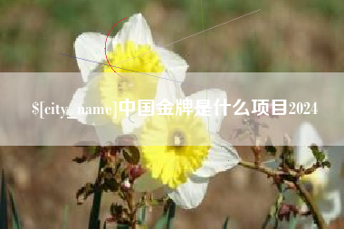 永兴中国金牌是什么项目2024