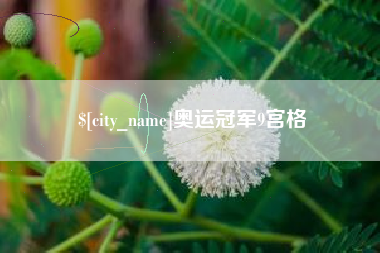 永兴奥运冠军9宫格