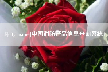 永兴中国消防产品信息查询系统1