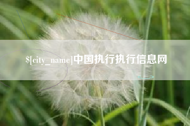 永兴中国执行执行信息网