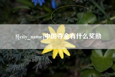 永兴中国夺金有什么奖励