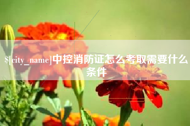 永兴中控消防证怎么考取需要什么条件