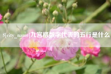 永兴九宫格数字代表的五行是什么