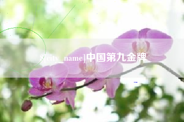 永兴中国第九金牌