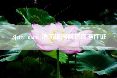 永兴消防证国网查询操作证