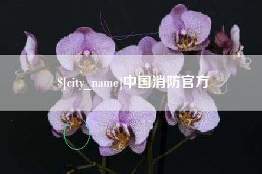 永兴中国消防官方