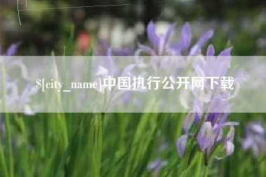 永兴中国执行公开网下载