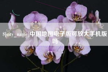 永兴中国地图电子版可放大手机版吗