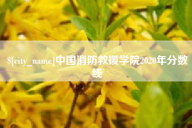 永兴中国消防救援学院2020年分数线