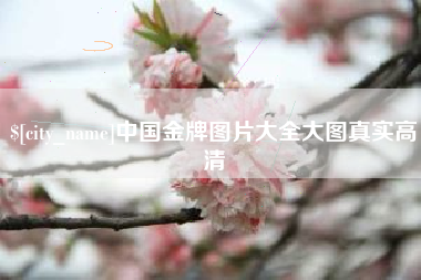 永兴中国金牌图片大全大图真实高清