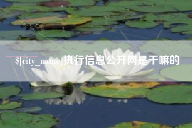永兴执行信息公开网是干嘛的