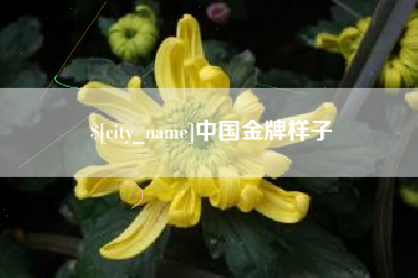 永兴中国金牌样子