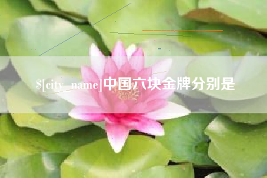 永兴中国六块金牌分别是
