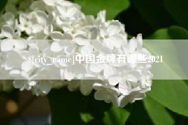 永兴中国金牌有哪些2021
