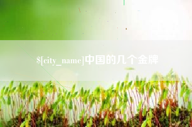 永兴中国的几个金牌
