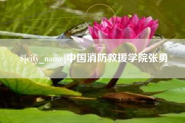 永兴中国消防救援学院张勇