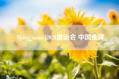 永兴2020奥运会 中国金牌