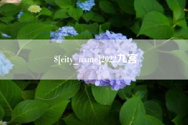 永兴2022九宫