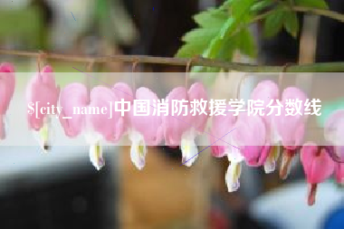 永兴中国消防救援学院分数线