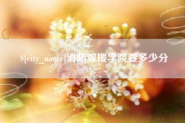 永兴消防救援学院要多少分